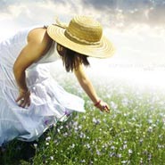 No. 031 - Consider The Wild Flowers