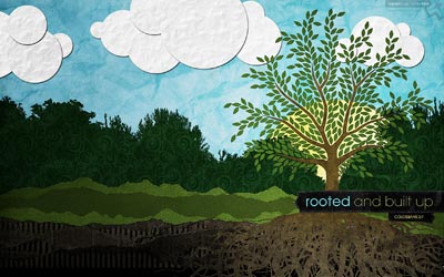 No. 053 - Rooted & Built Up