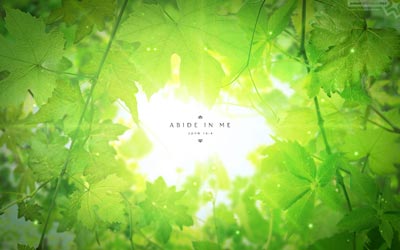 No. 083 - Abide in Me