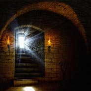 No. 120 - Take Refuge