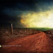 No. 132 - Path of Life