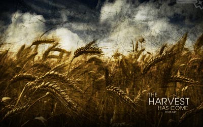 No. 055 - The Harvest Has Come